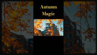 What Makes Autumn Colors So MAGICAL [upl. by Brubaker]