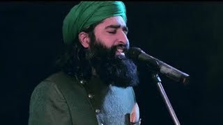 Nabi da pyara Ali noor Allah noor Full kalaam  Ali maula AS  TIKTOK complete Kalam [upl. by Ehlke]