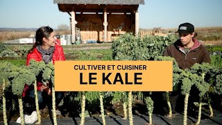 Comment cultiver et cuisiner le kale  Cest plus quun jardin [upl. by Bartle]