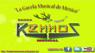 dame un beso y dime adiosbanda rennos musicalexitos [upl. by Sandeep]