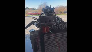 Check the Sound of this Small Block Ford 302 Build [upl. by Roose]