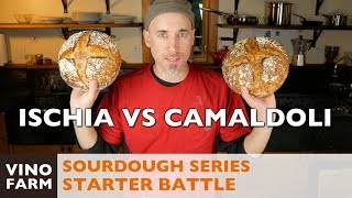 Sourdough Battle  Ischia vs Camaldoli  4K Italia 🇮🇹 [upl. by Nagaer]