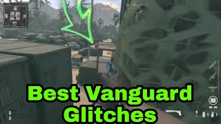 Best Glitches Vanguard [upl. by Aikemal323]