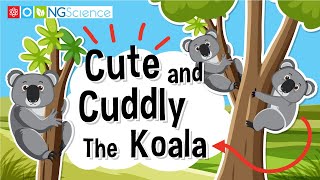 Cute and Cuddly – The Koala [upl. by Pitt]