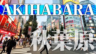 【Japan Walk】Akihabara  Walk around in Tokyo｜food tour｜Tokyo metro｜4K [upl. by Lianne725]