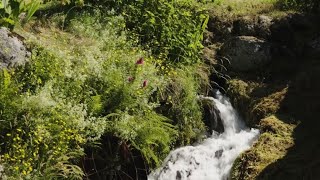 Lirrigation gravitaire par béal en Lozère une pratique ancestrale au patrimoine fragile [upl. by Innek]