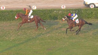 6th Race The Aberdonian Plate Distance 1000 Meters Winner Dill Awaiz  Pakistan Horse Racing [upl. by Tarttan]