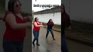 🤣🤣 las gatas bajo la lluvia [upl. by Yuzik135]