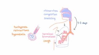 Respiratory Syncytial Virus RSV  Clinical Presentation [upl. by Niletak]