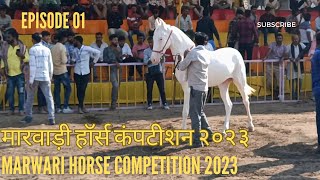 HORSE competition हॉर्स कॉम्पिटिशन [upl. by Major]