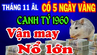 Tuổi Canh Tý 1960 Tháng 11 Âm lịch Đón Lộc Trời Ban nổ lộc trúng lớn Nghèo Mấy Cũng Giàu To [upl. by Eynobe148]