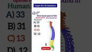 Anatomy MCQ 28 How many pairs of the spinal nerve are found in human [upl. by Margarete436]