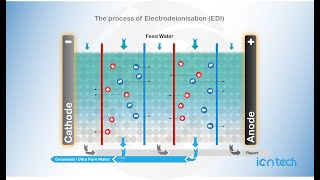 The process of Electro Deionisation EDI Iontech Animated [upl. by Eima803]