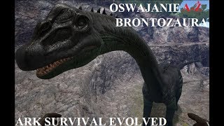 JAK OSWOIĆ BRONTOZAURA  ARK SURVIVAL EVOLVED OSWAJANIE AŻ [upl. by Notreve]