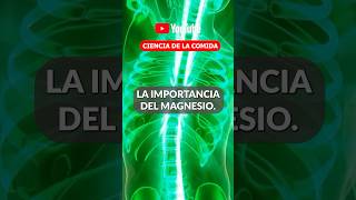 LA IMPORTANCIA DEL MAGNESIO magnesio salud cienciadelacomida [upl. by Ladin]