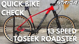 TOSEEK ROADSTER MTB  13Speed  AirFork  Hollowtech below 17k only  Quick Specs Colors Price [upl. by Benil]