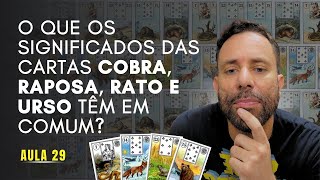 O Que os Significados das Cartas Cobra Raposa Rato e Urso Têm em Comum no Baralho Cigano Aula29 [upl. by Murrell]