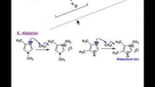 Heteroaromatics as NNucleophiles [upl. by Athalee]