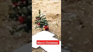 ❤️ keise christmas manatee haihow to celebrate merry Christmas😘 shorts shortsvideo youtuber [upl. by Sremmus]