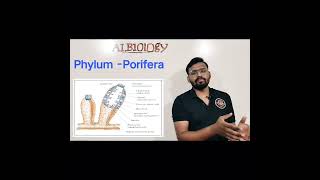 Phylum  Porifera Animal classification  viral short  Avinash sir [upl. by Anewor]