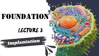 Implantation Lecture 3 Embryology Foundation module Dr Adham Saleh [upl. by Loleta]