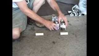 SPRINKLER PIPE REPAIR TUTORIAL  How to Repair a Broken PVC Sprinkler Pipe  Do it Yourself  DIY [upl. by Chappy]