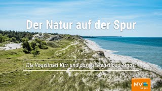 Erkundung der Natur auf Zingst und der Insel Kirr [upl. by Robi401]