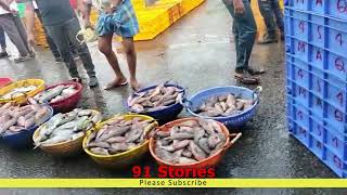 Mangalore Bunder Tour Part 2  Asias Biggest Fish Market  LARGEST SEAFOOD  Bunder Trip [upl. by Arval]