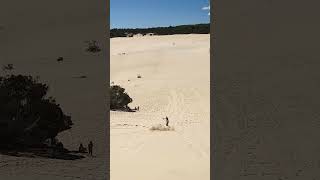 Look Both Ways Before Starting to Sandboard  Moreton Island in Australia [upl. by Aerdnat24]