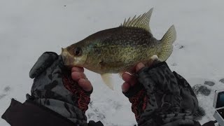 Ice fishing in Northwest Indiana [upl. by Mil]