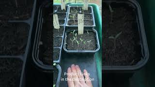 How I use heat mats to start seeds in my unheated greenhouse every spring [upl. by Cressy]