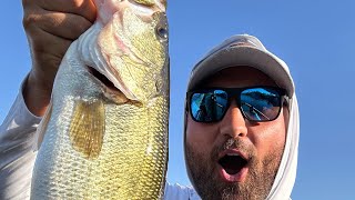 Lake Saguaro Fishing Report 9192024 [upl. by Teodoor]