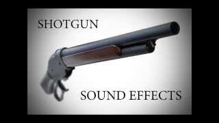 Shotgun Sound Effects [upl. by Henleigh263]