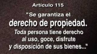 Propiedad Social vs Art 115 de la Constitución [upl. by Erkan919]