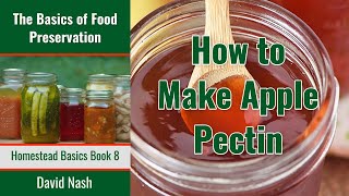 How to Make Homemade Apple Pectin  How to Extract Pectin from Apples  Make Your Own Pectin [upl. by Ahsemo327]