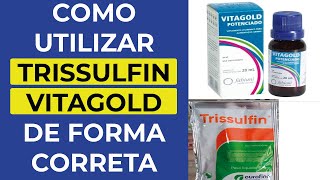 Como utilizar Trissulfin e o Vitagold de Forma Correta trissulfin vitagold comocuidardecodornas [upl. by Dugas345]