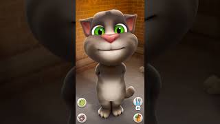 Chandu Ke Chacha Ne Chandu Ki Chachi Ko By Talking Tom [upl. by Slaohcin]