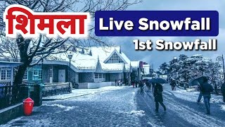 Shimla Live Snowfall 🌨️ ❄️ Today  Seasons First Snowfall in Shimla shimladnowfalltoday shimla [upl. by Pincince]