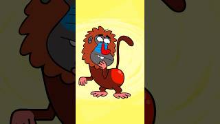 Hello May I See Your Behind – Hooray Kids Songs funnyvideo nurseryrhymes shorts baboonsong [upl. by Budde]