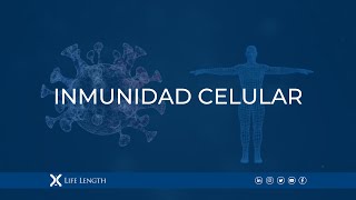 Inmunidad Celular [upl. by Mandelbaum]