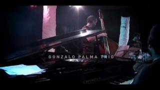 TEMPO  GONZALO PALMA TRIO  La fiesta permanente sd [upl. by Yleve185]