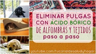 Eliminar pulgas Cómo aplicar el ácido bórico en alfombras y tejidos [upl. by Atikaj]