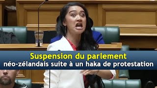 Suspension du parlement néozélandais suite à un haka de protestation  DRM News Français  AC3T [upl. by Anih434]