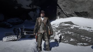 The Cobalt Petrified Wood Location in 40 Seconds in 4K Red Dead Redemption 2 shorts [upl. by Yadroc332]