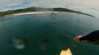 Costa Rica Surfing [upl. by Giwdul]