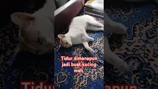 Tiduran di meja remix music videoshort kegiatansiswa hiburan lucu [upl. by Rexford]