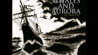 Whales and Aurora  Abandoned Among Echoes [upl. by Aleik]