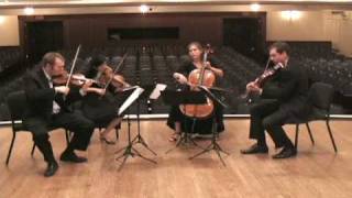 Schubert Quartettsatz [upl. by Yeltrab]