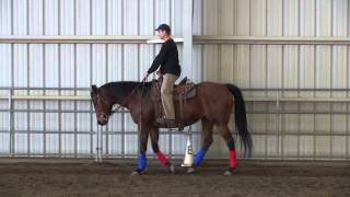 Posting The Trot  5 Minute Horse Lessons [upl. by Moody643]