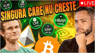 🔴LIVESINGURA MONEDA CARE NU CRESTE NVIDIA RAPORTEAZA SI ALEGERI IN ROMANIA [upl. by Mcclees]